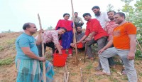 ডাসকো ফাউন্ডেশন বাস্তবায়িত পরিবেশ প্রকল্...